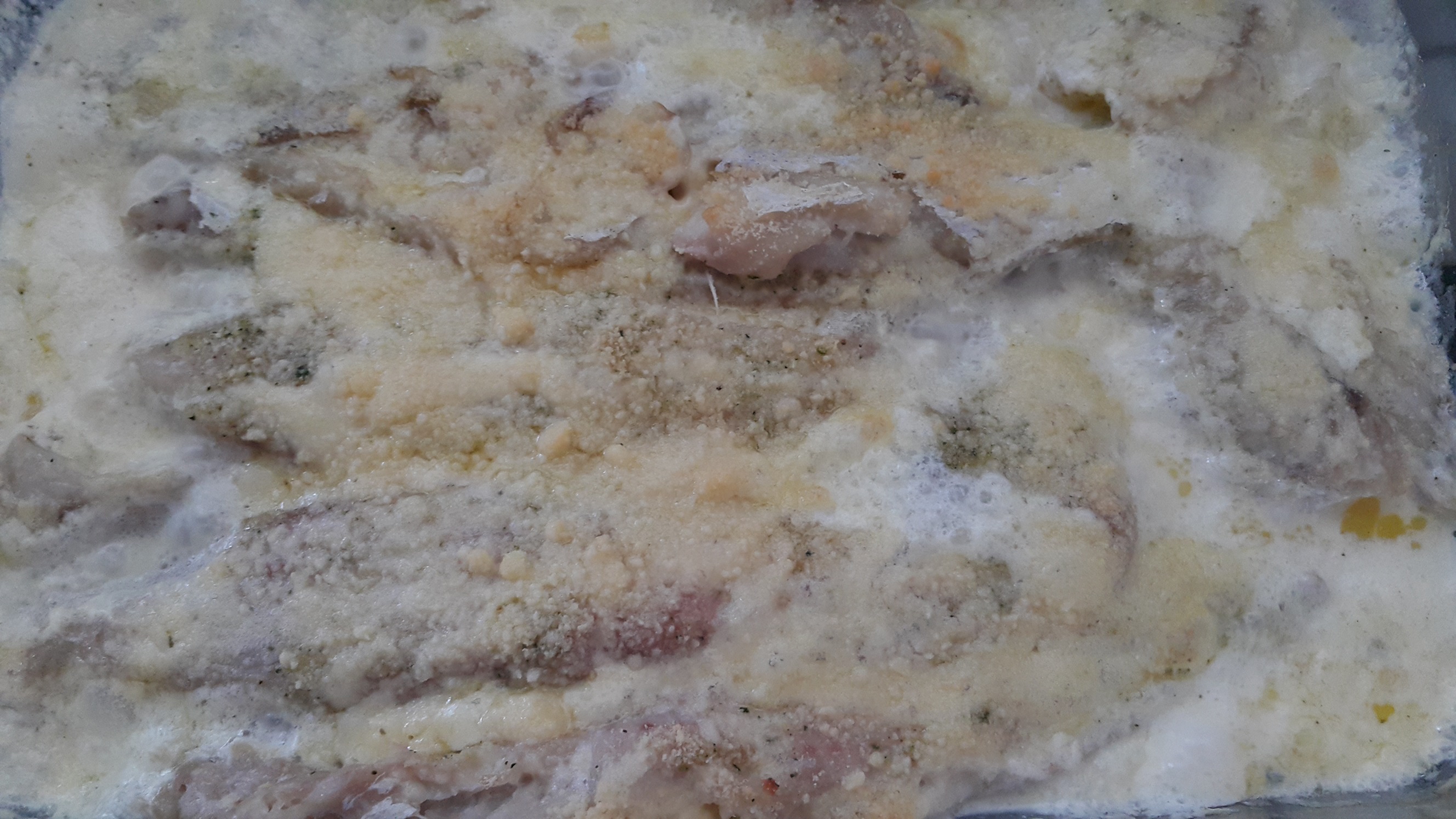 Brotola 4