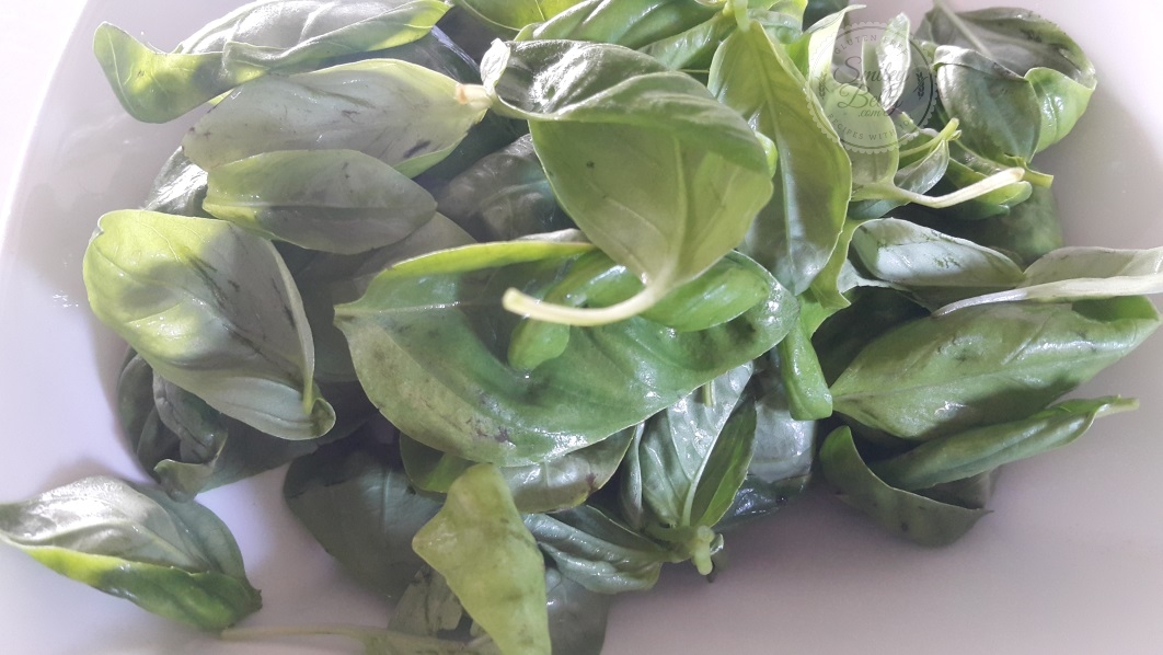pesto-1