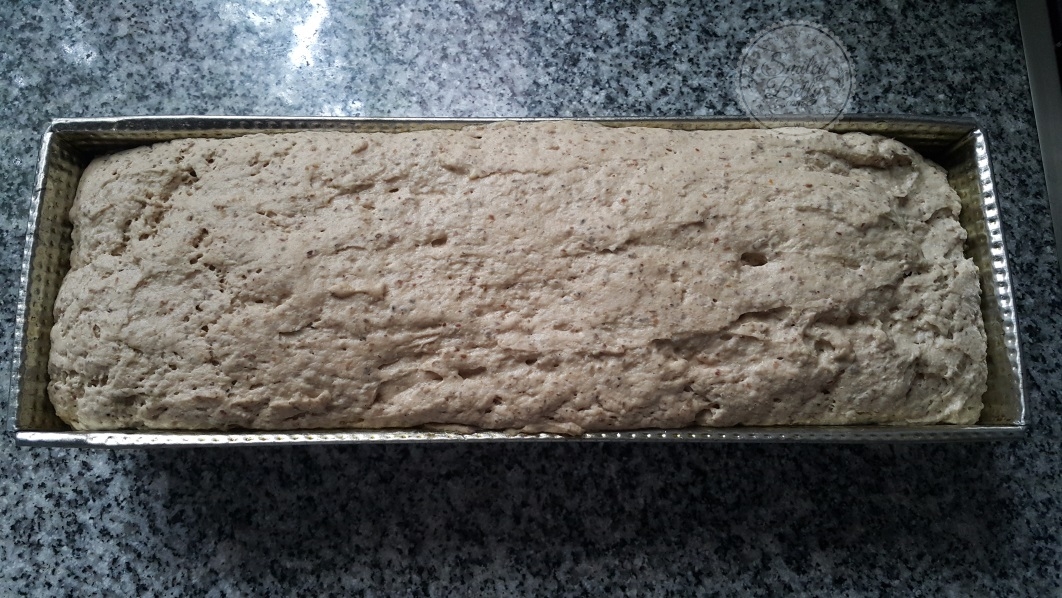 pan integral molde 6