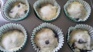 Muffins arandano 1